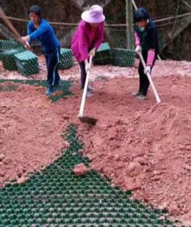  HDPE Grass Grid | Widely Used in North America River Protection, Fire Lane & Eco Pavement Projects